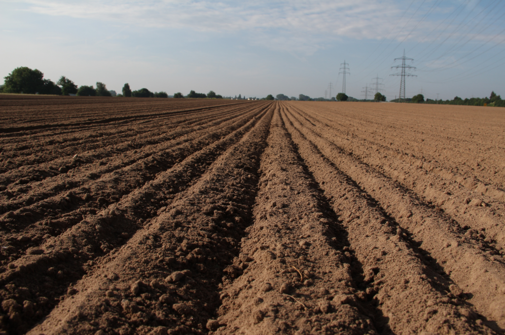畑の土作りを成功させる順番と基礎