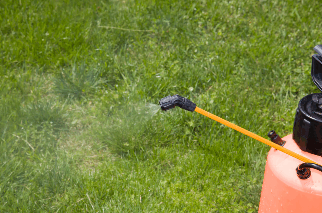 除草剤をまいたあとの降雨に対する正しい理解と対策まとめ