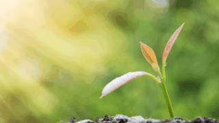 信頼できる農業情報サイト