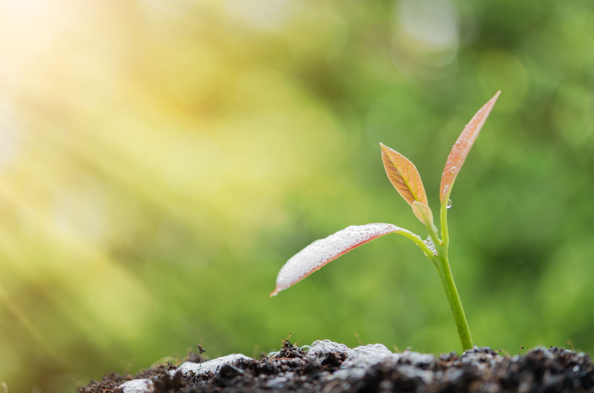 信頼できる農業情報サイト