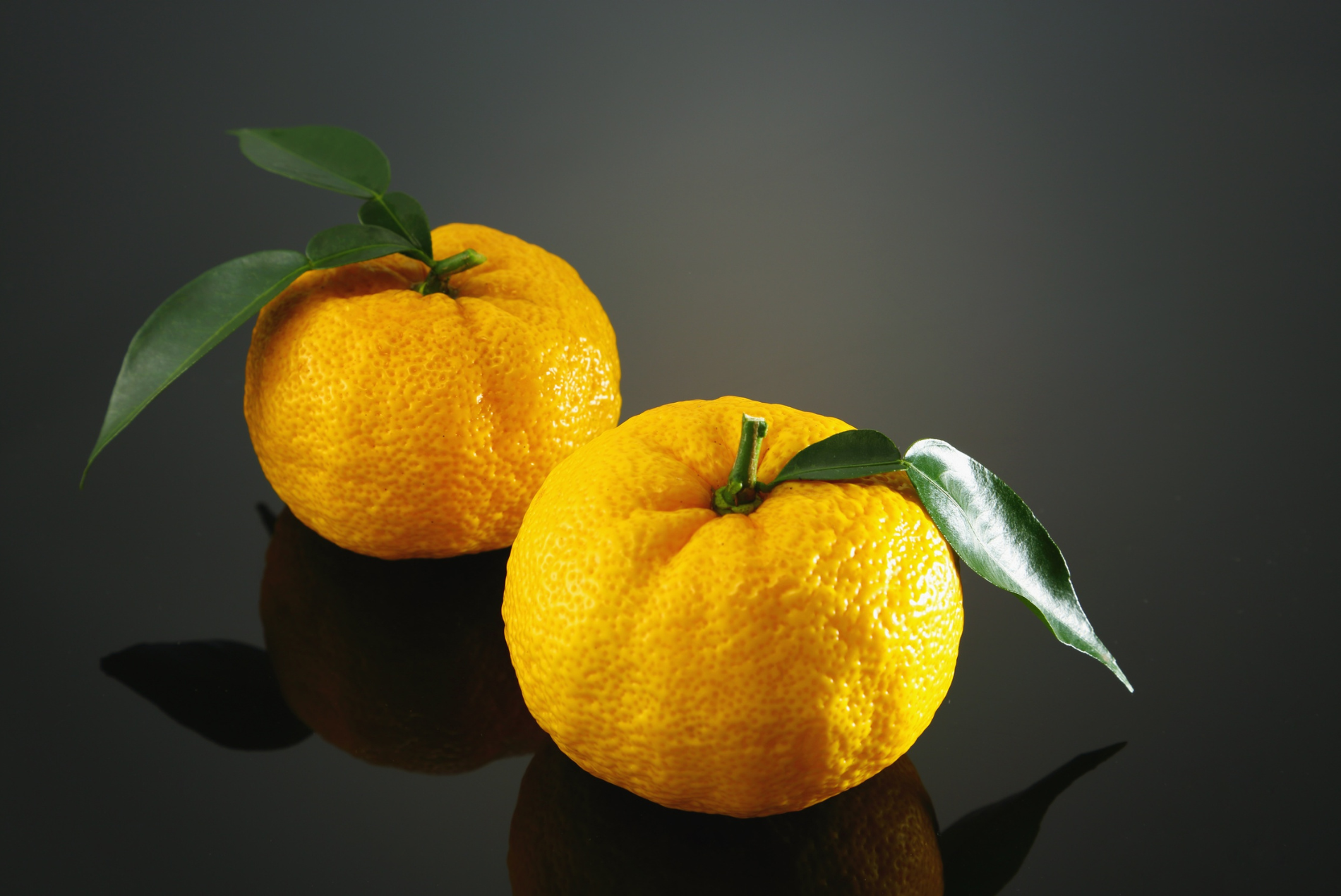 実った柚子を収穫しないとどうなる？放置リスクと収穫適期