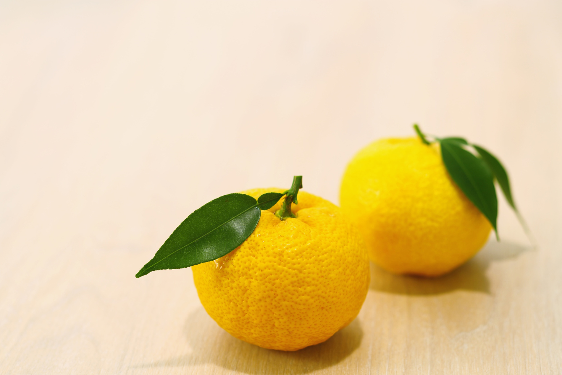 柚子の剪定時期