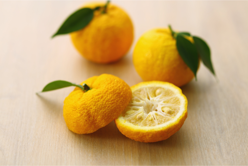 まとめ：柚子を収穫しないとどうなるのかを知り適切に管理しよう