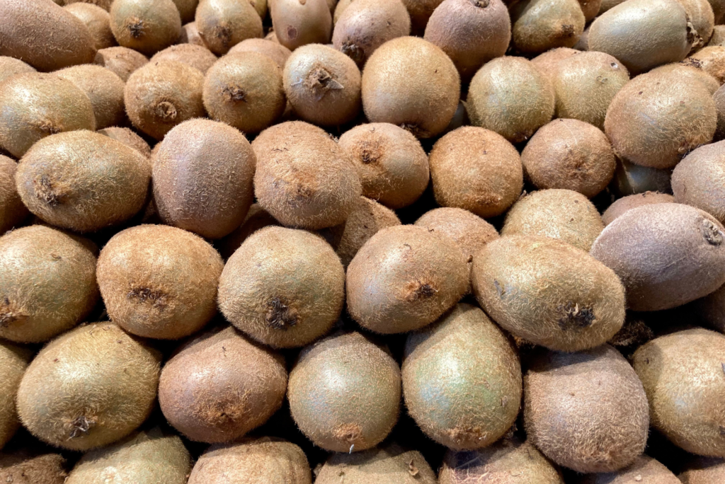 キウイの収穫時期の後にすべき保存と追熟のコツ