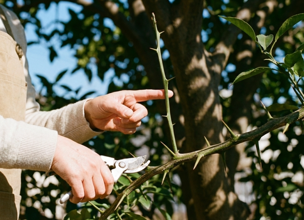 作業を妨げる鋭いとげの対処法