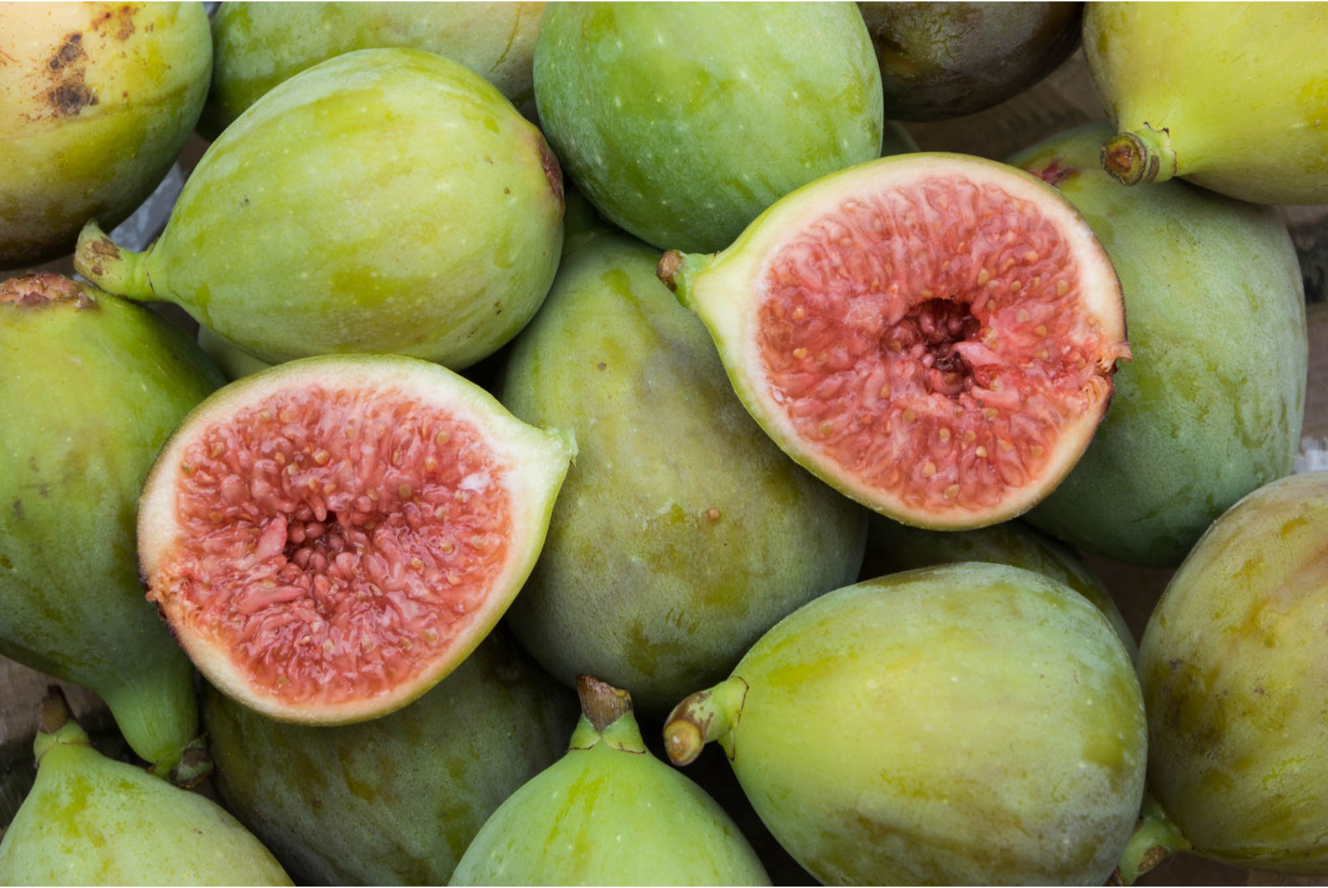 イチジクの植え替え時期